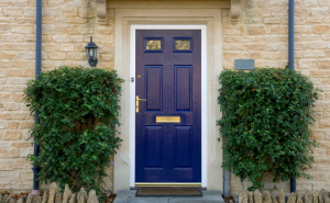 A blue composite door in Manchester with two square bushes either side.